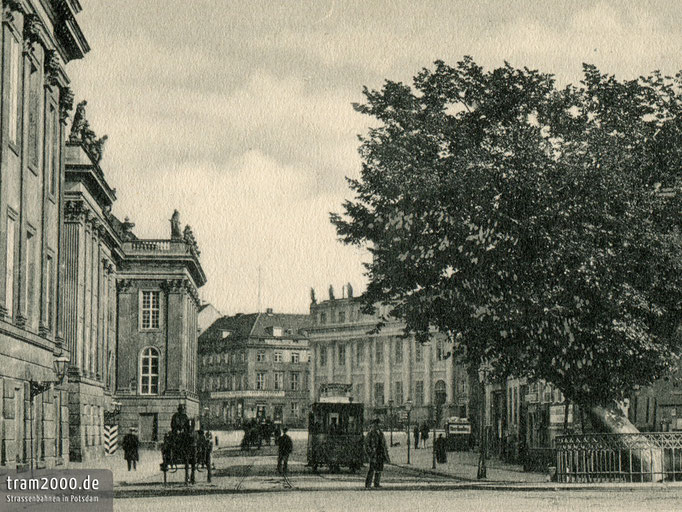 Wagen 20 der Potsdamer Pferdebahn an der Bittschriftenlinde vor dem Stadtschloss.