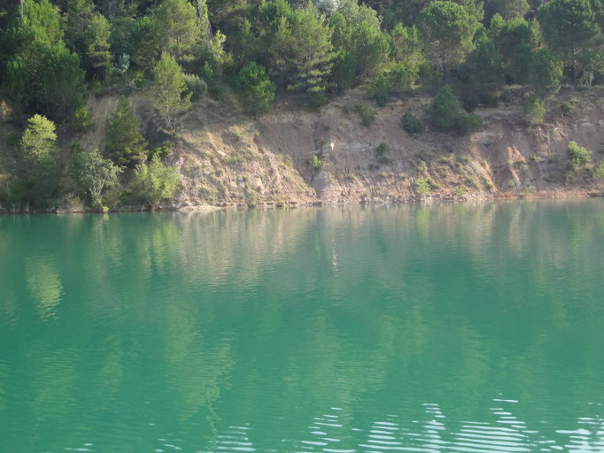 lac