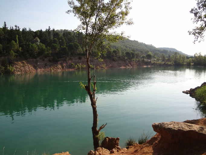 lac 