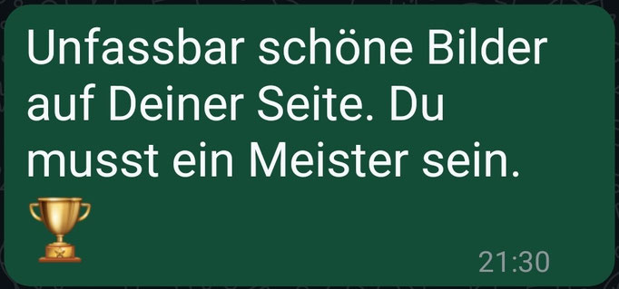 😊 Feedback Schnipsel 😊