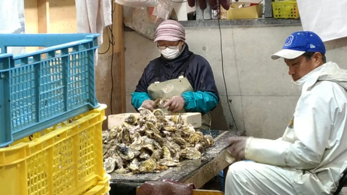 苅田漁港の牡蠣