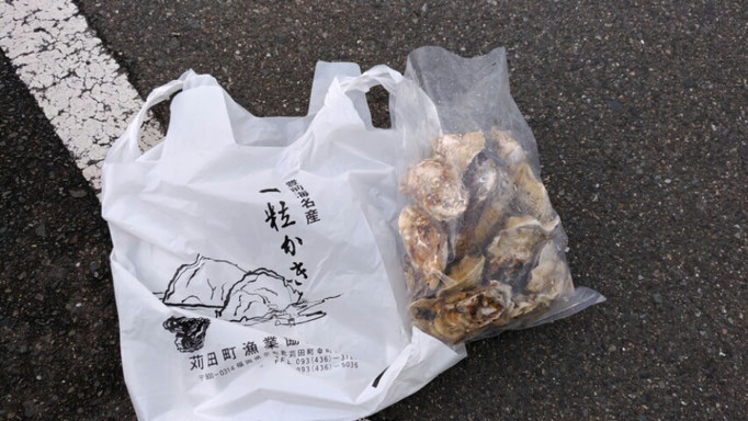 苅田漁港の牡蠣