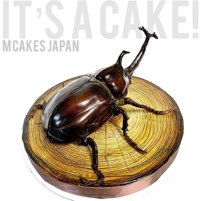 カブトムシ昆虫立体ケーキ【誕生日/イベント/オーダーメイドケーキ】