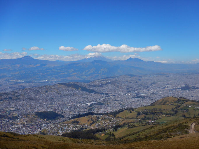 Rucu Pichincha - Quitos Hausberg