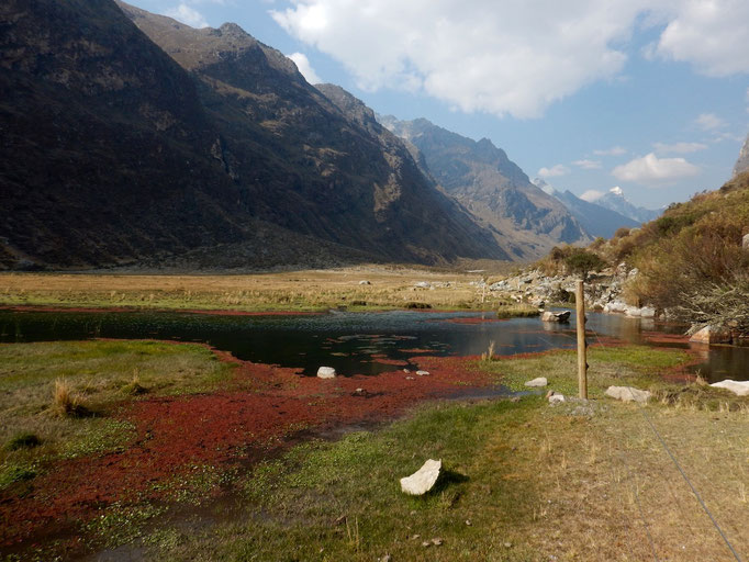 umwerfende Natur