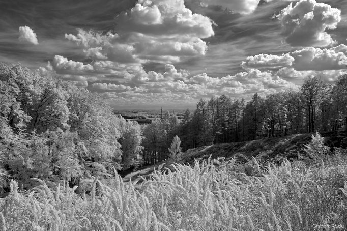 Wolken über dem Münsterland