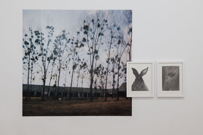 Oliver Möst · Hamlet / Dorf _ 2C Fotografie, 2008 | Manfred Michl · General Woundwort & Fiver, je Zeichenkohle Pastellkreide auf Papier, 2018