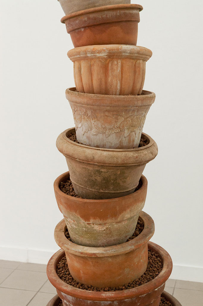 Katharina Moessinger · „ohne Titel“, Tontöpfe, Stahl, Hydrosteine und Zimmerpflanze, ca. 320 x 150 x 80 cm, 2015 (Detail)