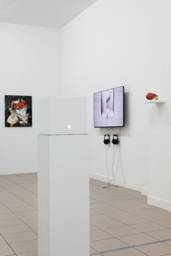 GIER - Ausstellungsansicht