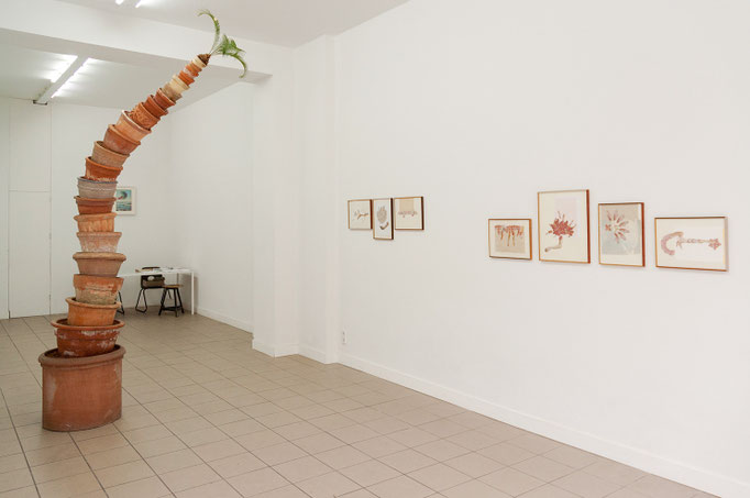 zweite Natur, Ausstellungsansicht
