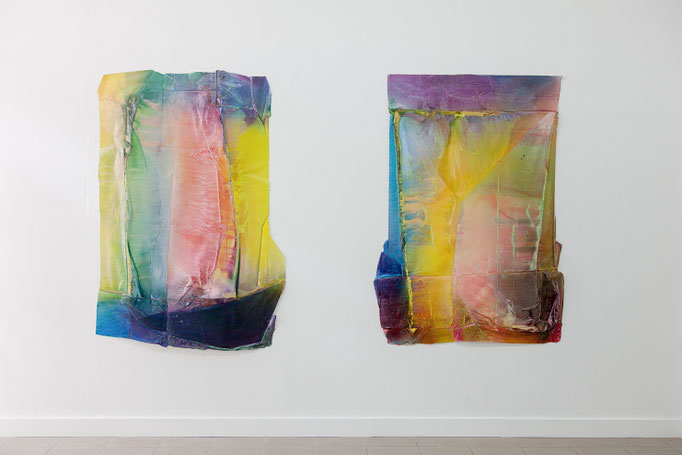 Cross Section V, ca. 170 x 115 x 10 cm, 2017 | Cross Section IV, ca. 170 x 115 x 10 cm, 2017