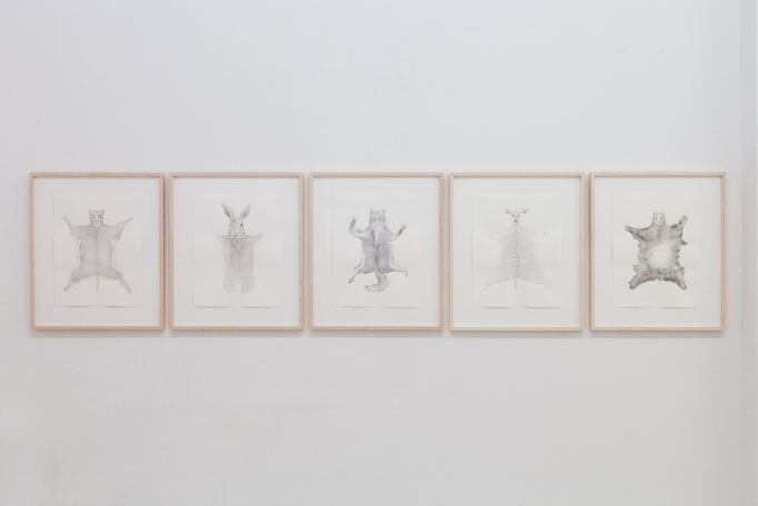 Carolin Schneider · „Felle“ v.l.n.r.: Löwe, Hase, Fuchs, Antilope, Bär Gouache auf Papier, 2013