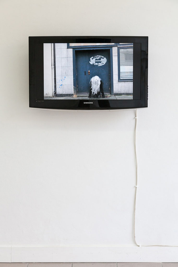 Gudrun Kenschner DVD Performancefotos, 2016 