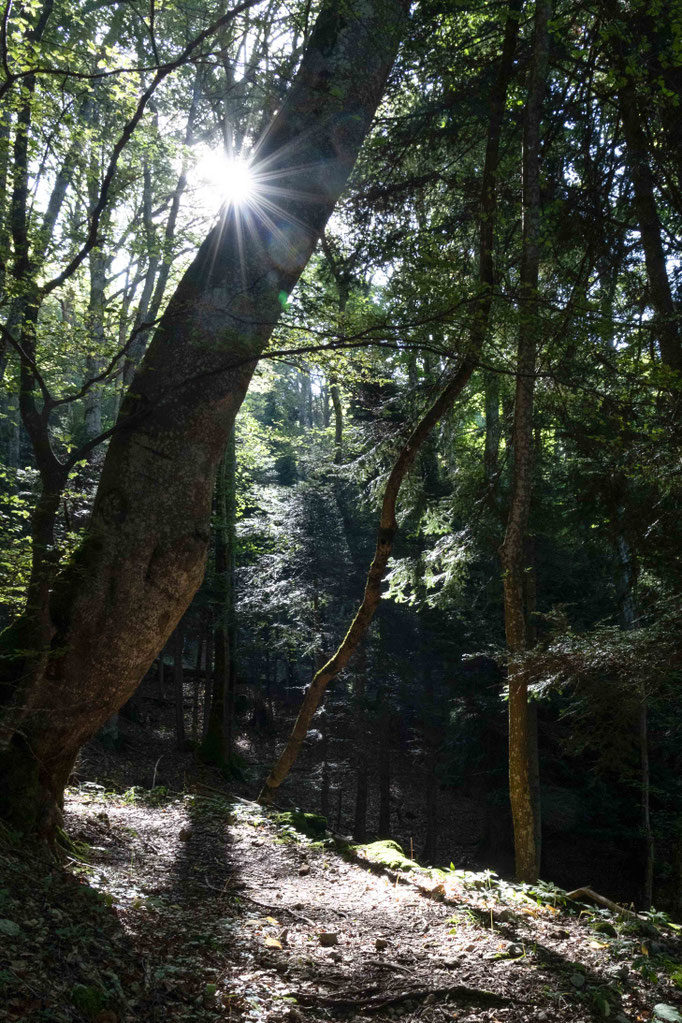 Unterwegs auf den UNESCO Bettlachstock
