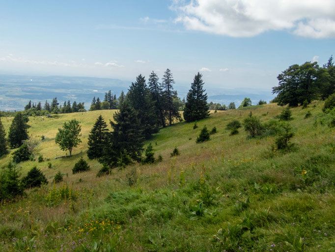 UNESCO Bettlachstock