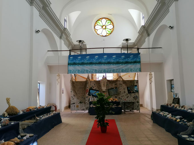 Mostra malacologica 2019