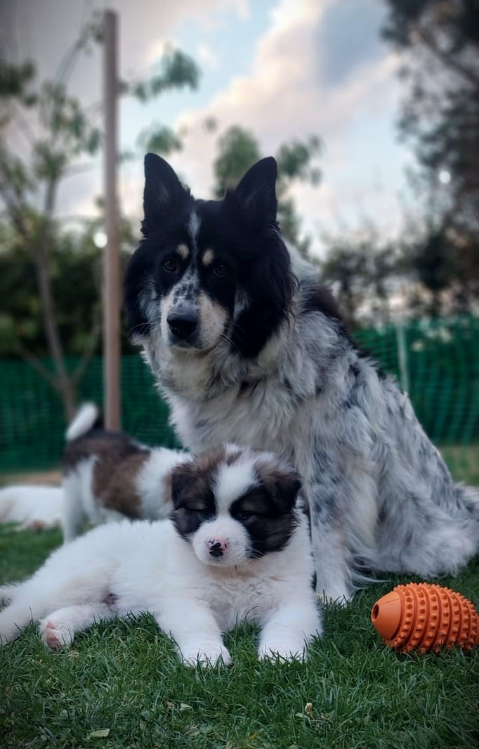 kuscheln mit Mama