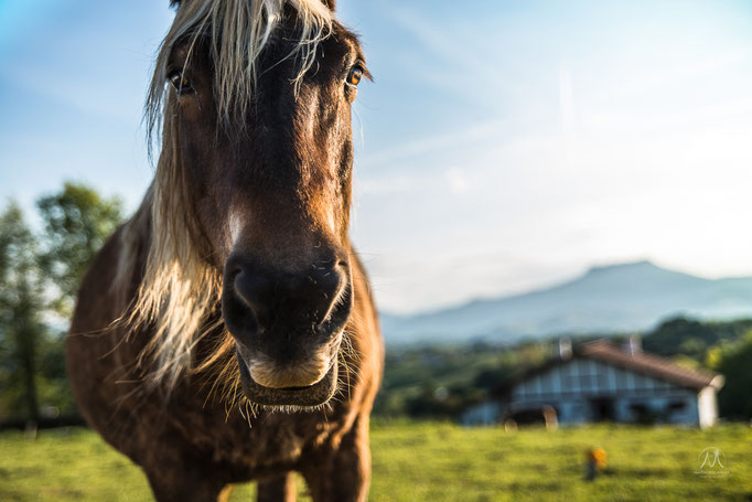 © Mathieu Prat - Photographe - Bayonne - Pays Basque