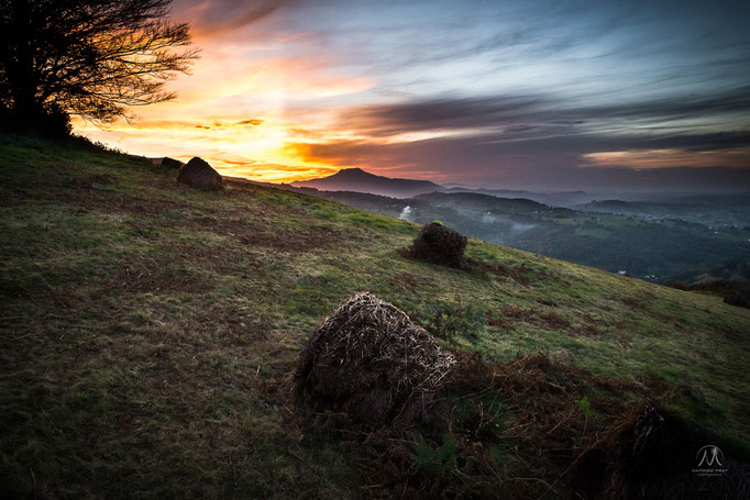 © Mathieu Prat - Photographe - Bayonne - Pays Basque