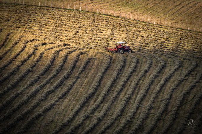 © Mathieu Prat - Photographe - Bayonne - Pays Basque