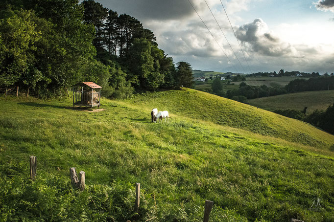 © Mathieu Prat - Photographe - Bayonne - Pays Basque
