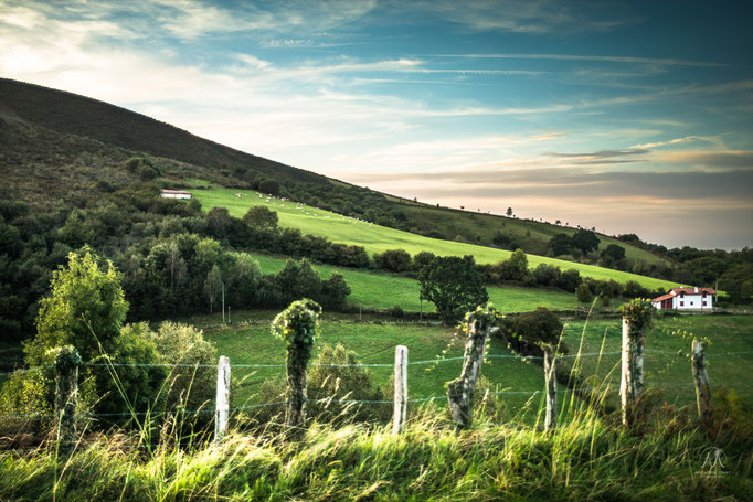 © Mathieu Prat - Photographe - Bayonne - Pays Basque