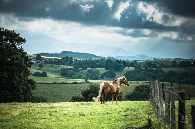 © Mathieu Prat - Photographe - Bayonne - Pays Basque