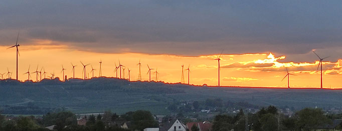 ...da ist Abendrot überm Kloppberg als "Schönwetterbot" schon deutlich vielversprechender. 