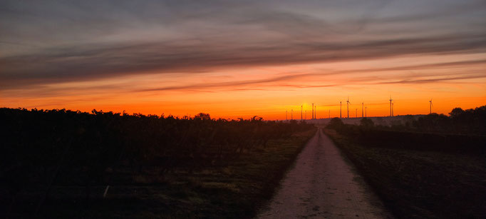 erneutes Morgenrot beim frühen Aufstehen. 