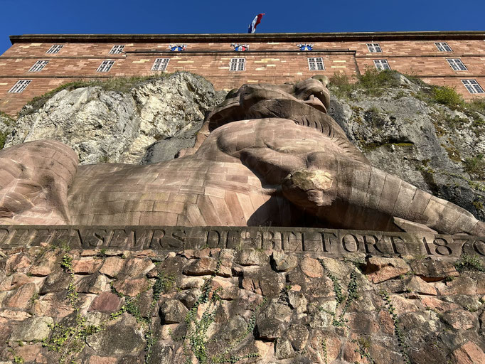 Le Lion en contre-plongée