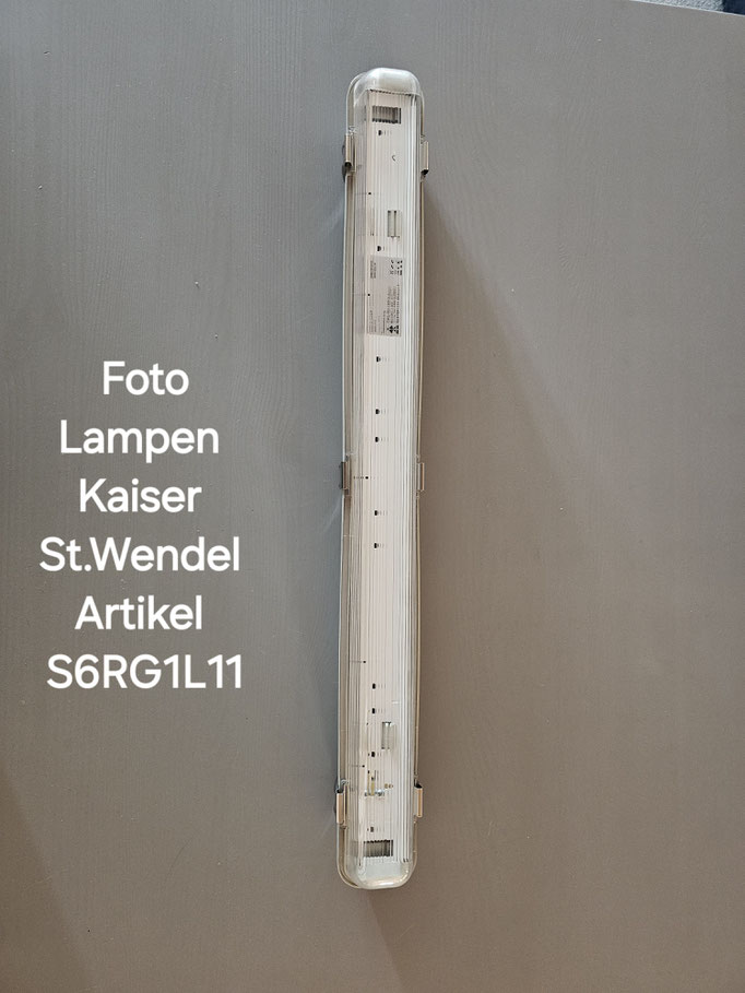S6RG1L11