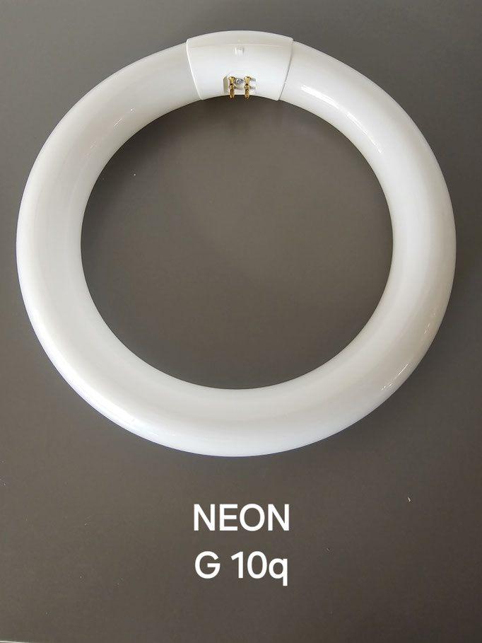 NEON G 10q