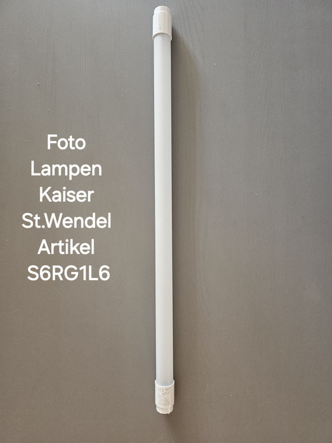 S6RG1L6