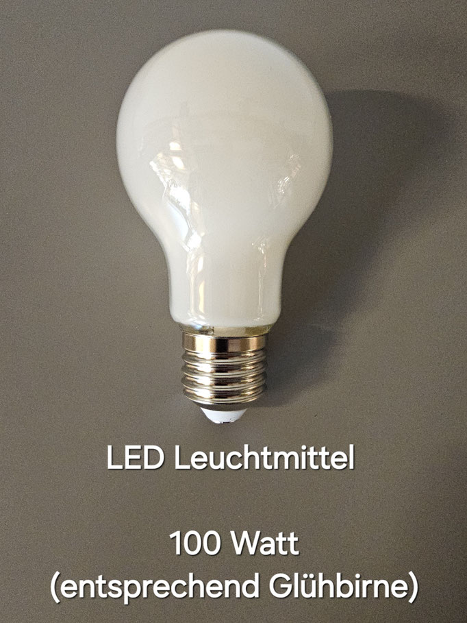 LED E27 ST 100 W
