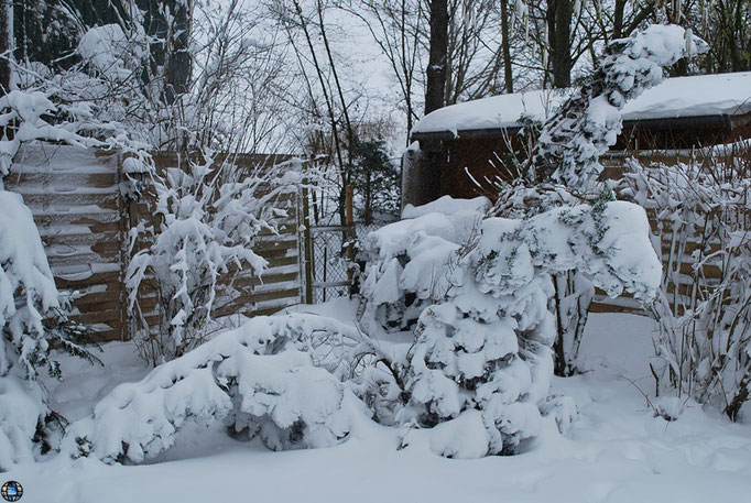 Soviel Schnee hatten wir im Garten schon lange nicht mehr.