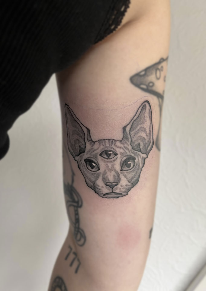 Tattoo Studio Frankfurt, Animal tattoo