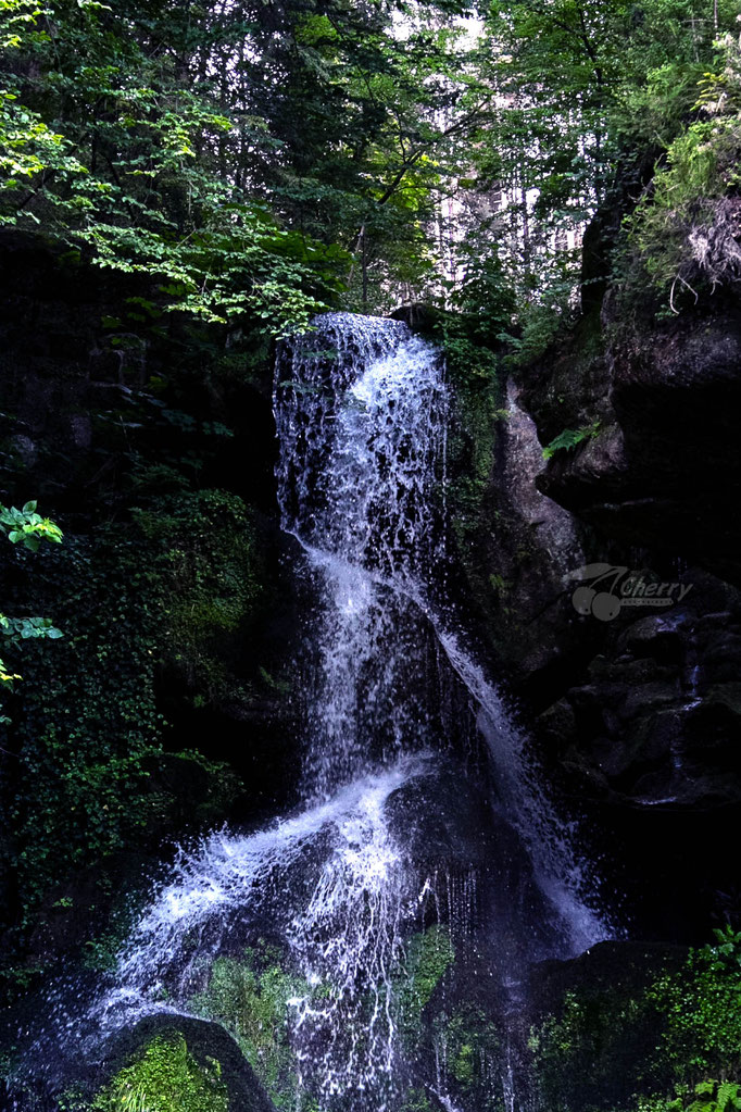 Naturbilder cherry-photography