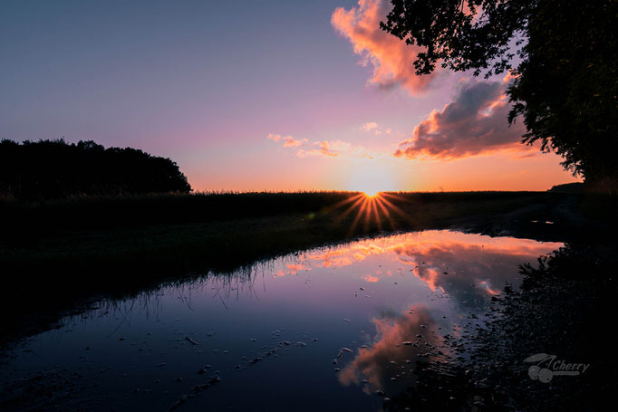 Naturbilder cherry-photography