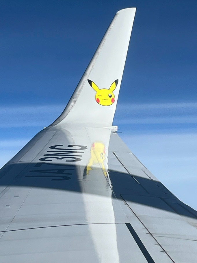 ポケモンジェットでした😄