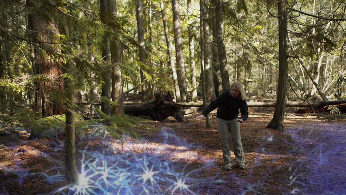 Intelligent trees watch online free store