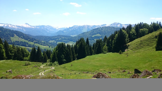 Almenwanderung im Leckner Tal