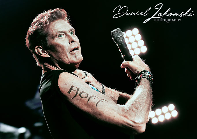 David Hasselhoff 
