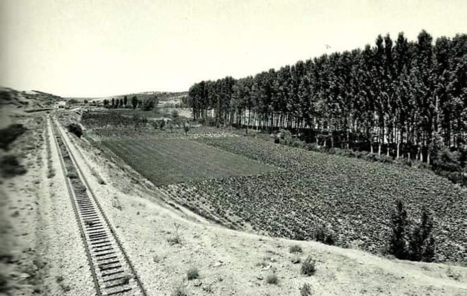 Tramo de Ferrocarril Baeza Utiel, por el Jardín (Albacete). Foto de F. Catalá Roca. Año 1971.