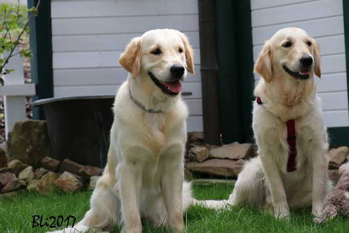 Die Schwestern Maisie und Feenja