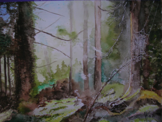 Wald 2