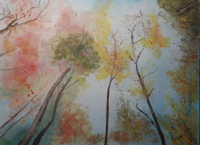 Herbst im Wienerwald