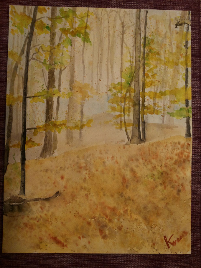 Wald 5 Steinriegl