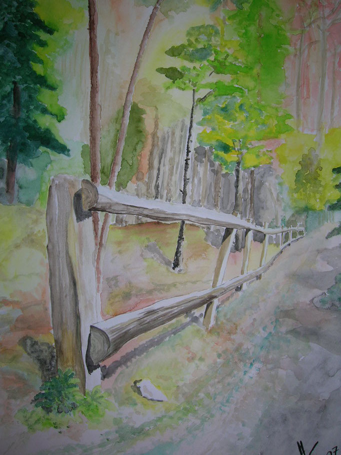 56x42 Wald 9