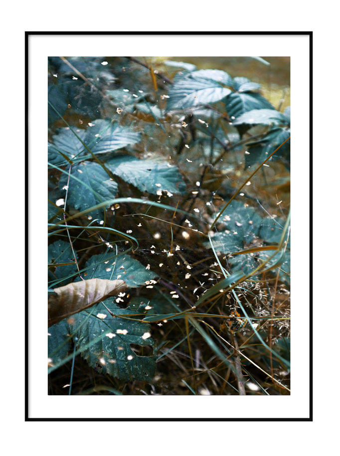 Prints, Poster, Naturfotografie von Malina Bura