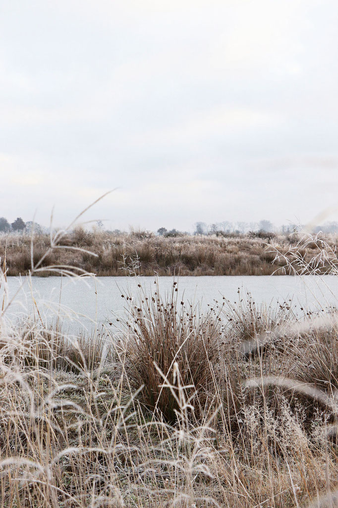 Winter in der Altmark - Prints, Poster, Naturfotografie von Malina Bura
